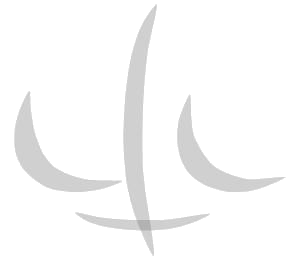 Logo Menezes